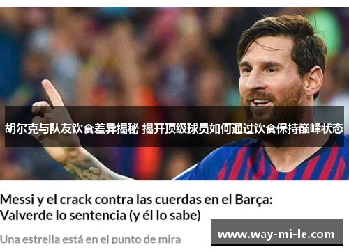 胡尔克与队友饮食差异揭秘 揭开顶级球员如何通过饮食保持巅峰状态