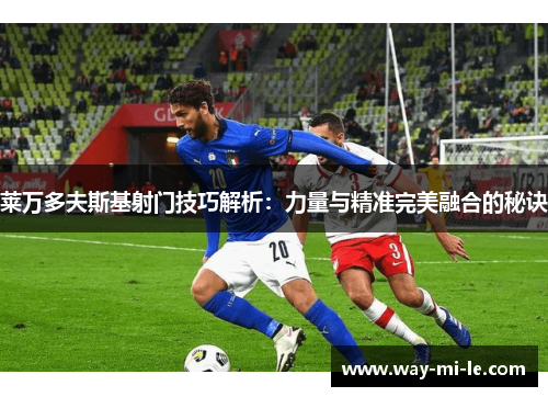 莱万多夫斯基射门技巧解析：力量与精准完美融合的秘诀