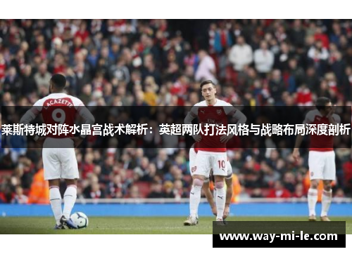 莱斯特城对阵水晶宫战术解析：英超两队打法风格与战略布局深度剖析