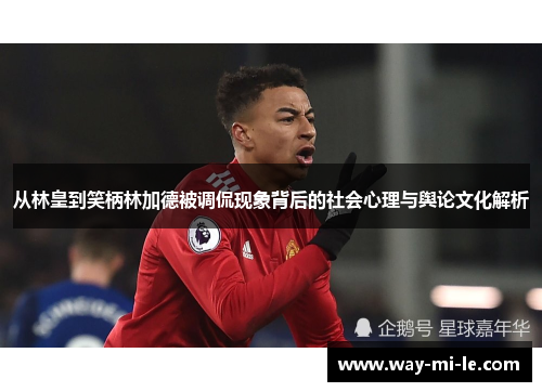 从林皇到笑柄林加德被调侃现象背后的社会心理与舆论文化解析