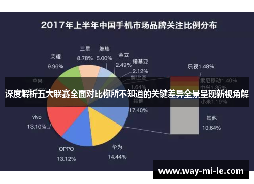 深度解析五大联赛全面对比你所不知道的关键差异全景呈现新视角解