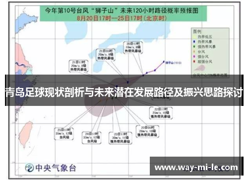 青岛足球现状剖析与未来潜在发展路径及振兴思路探讨