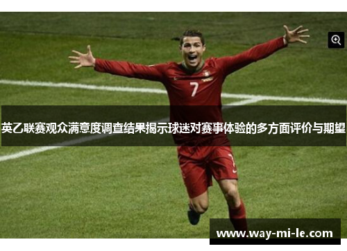 英乙联赛观众满意度调查结果揭示球迷对赛事体验的多方面评价与期望