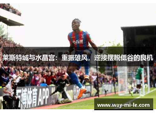 莱斯特城与水晶宫：重振雄风，迎接摆脱低谷的良机