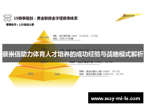 蔡崇信助力体育人才培养的成功经验与战略模式解析