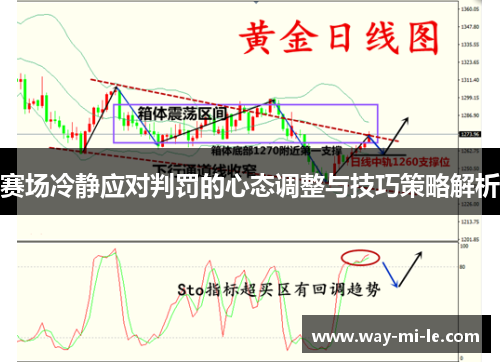 赛场冷静应对判罚的心态调整与技巧策略解析
