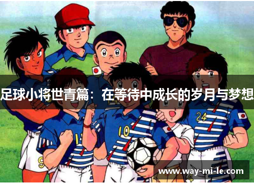 足球小将世青篇：在等待中成长的岁月与梦想