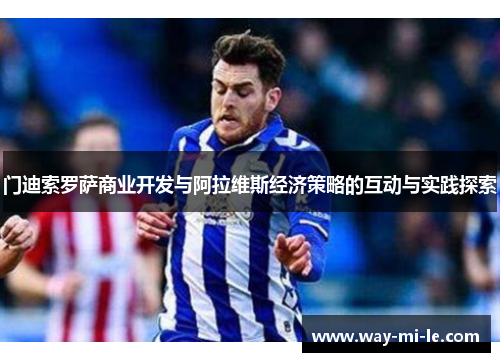 门迪索罗萨商业开发与阿拉维斯经济策略的互动与实践探索
