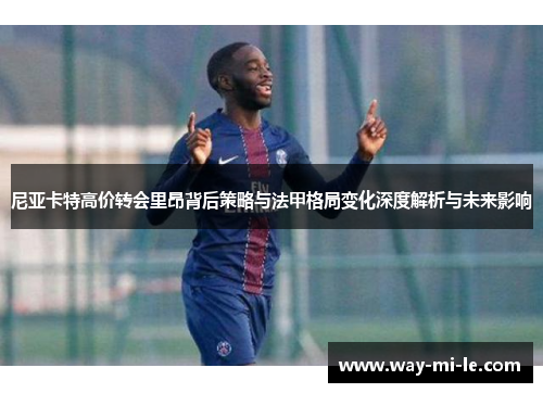 尼亚卡特高价转会里昂背后策略与法甲格局变化深度解析与未来影响